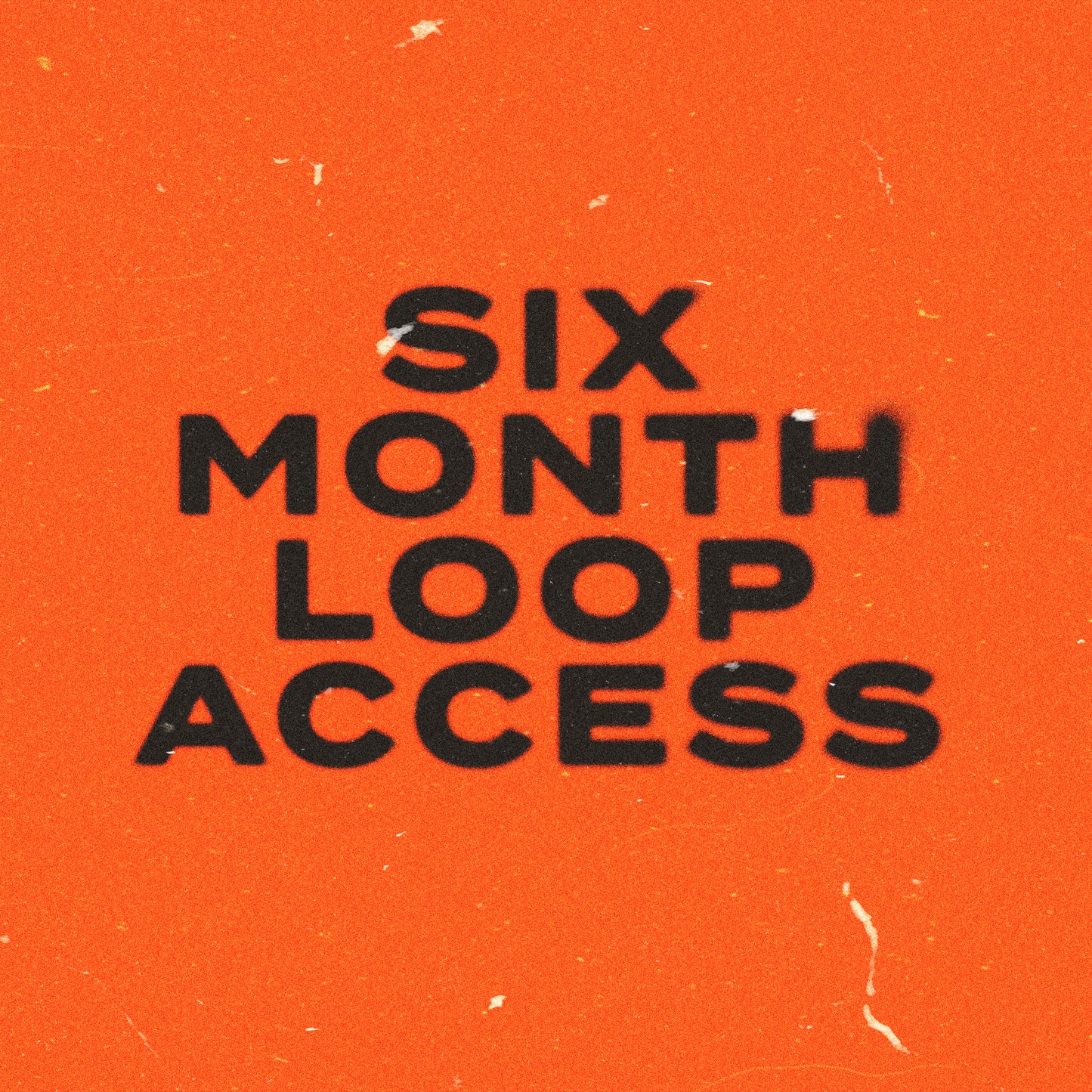 SIX MONTH LOOP SUBSCRIPTION