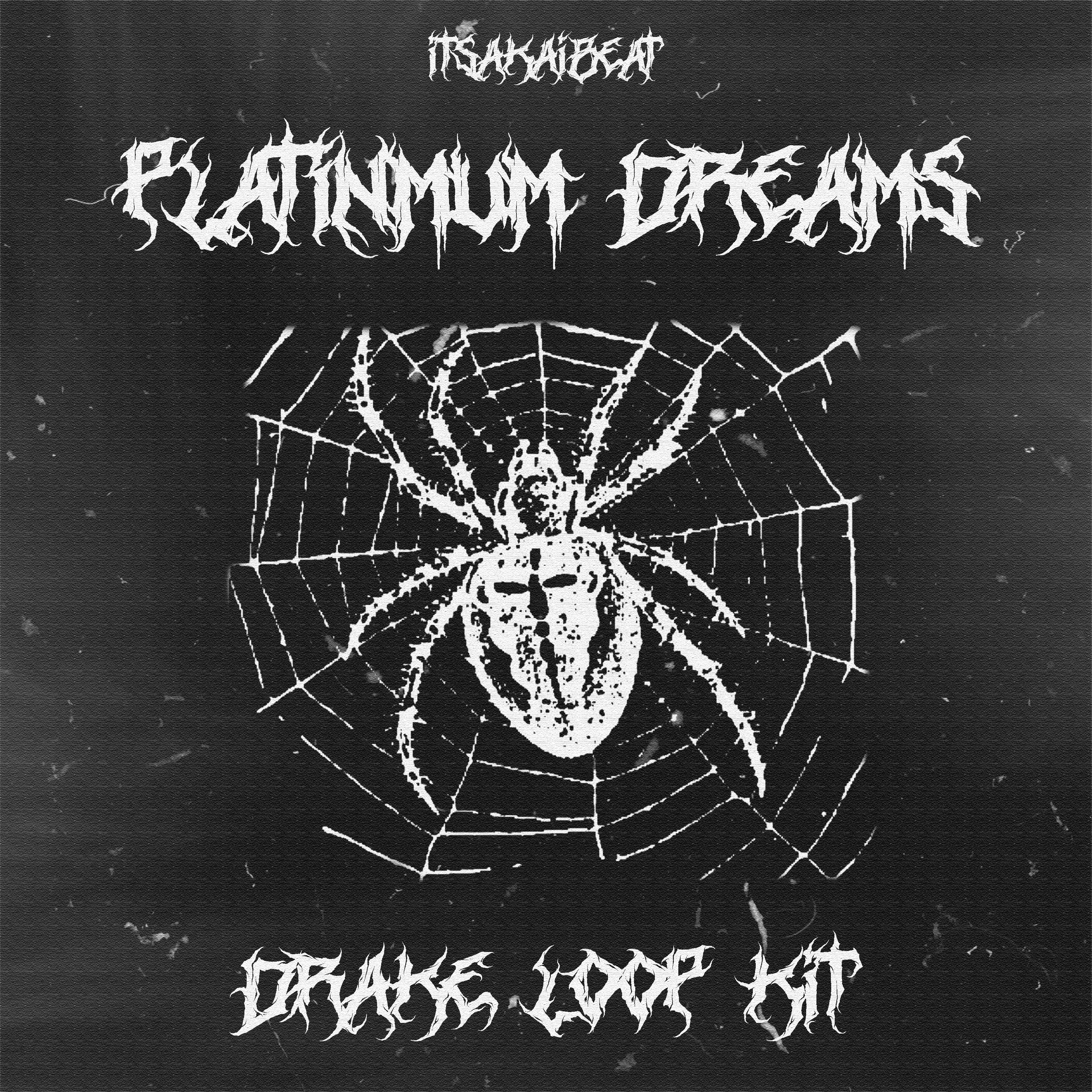 DRAKE R&B LOOP KIT - "PLATINUM DREAMS" - (A Boogie , Vory , Lil Tjay, PartyNextDoor)