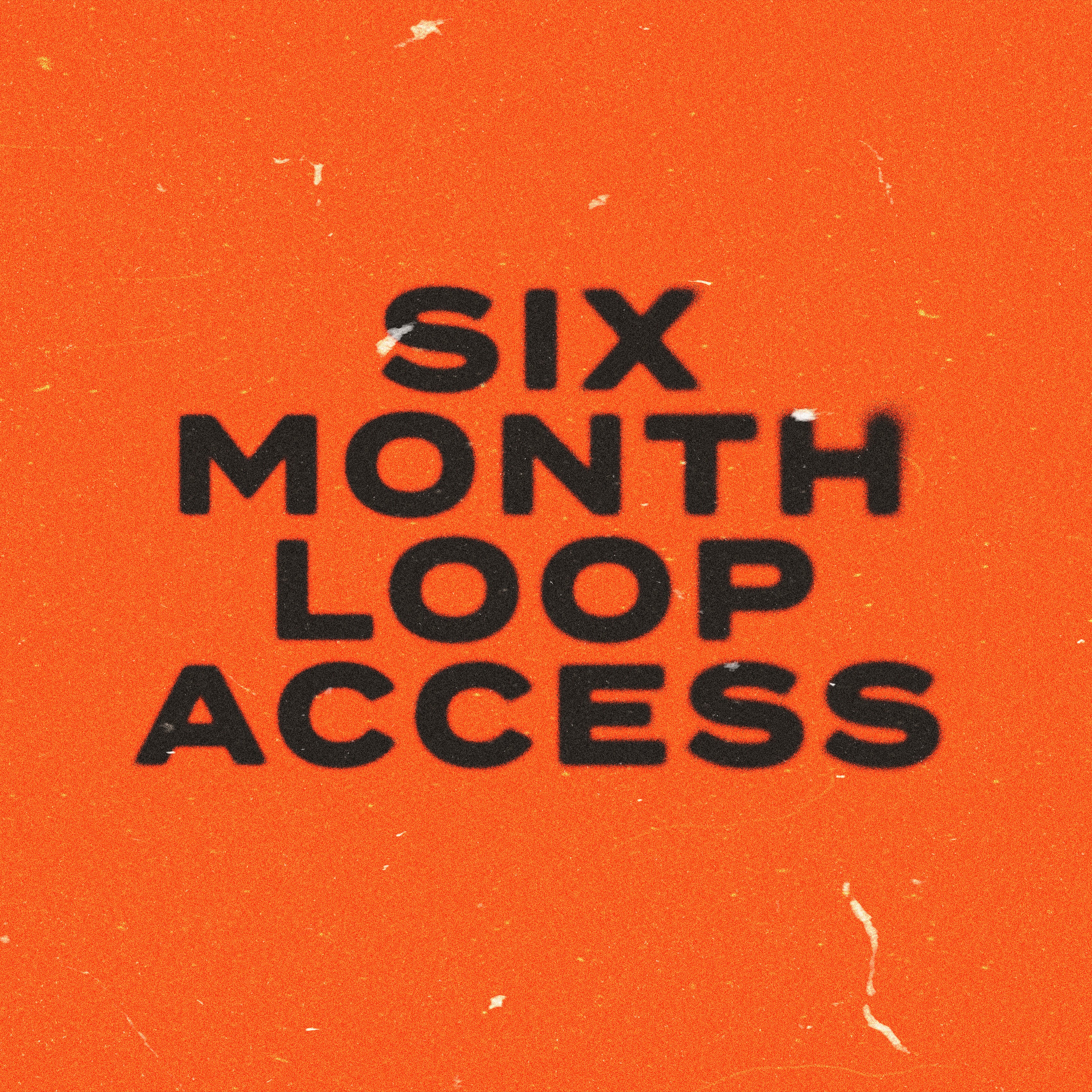 SIX MONTH LOOP SUBSCRIPTION
